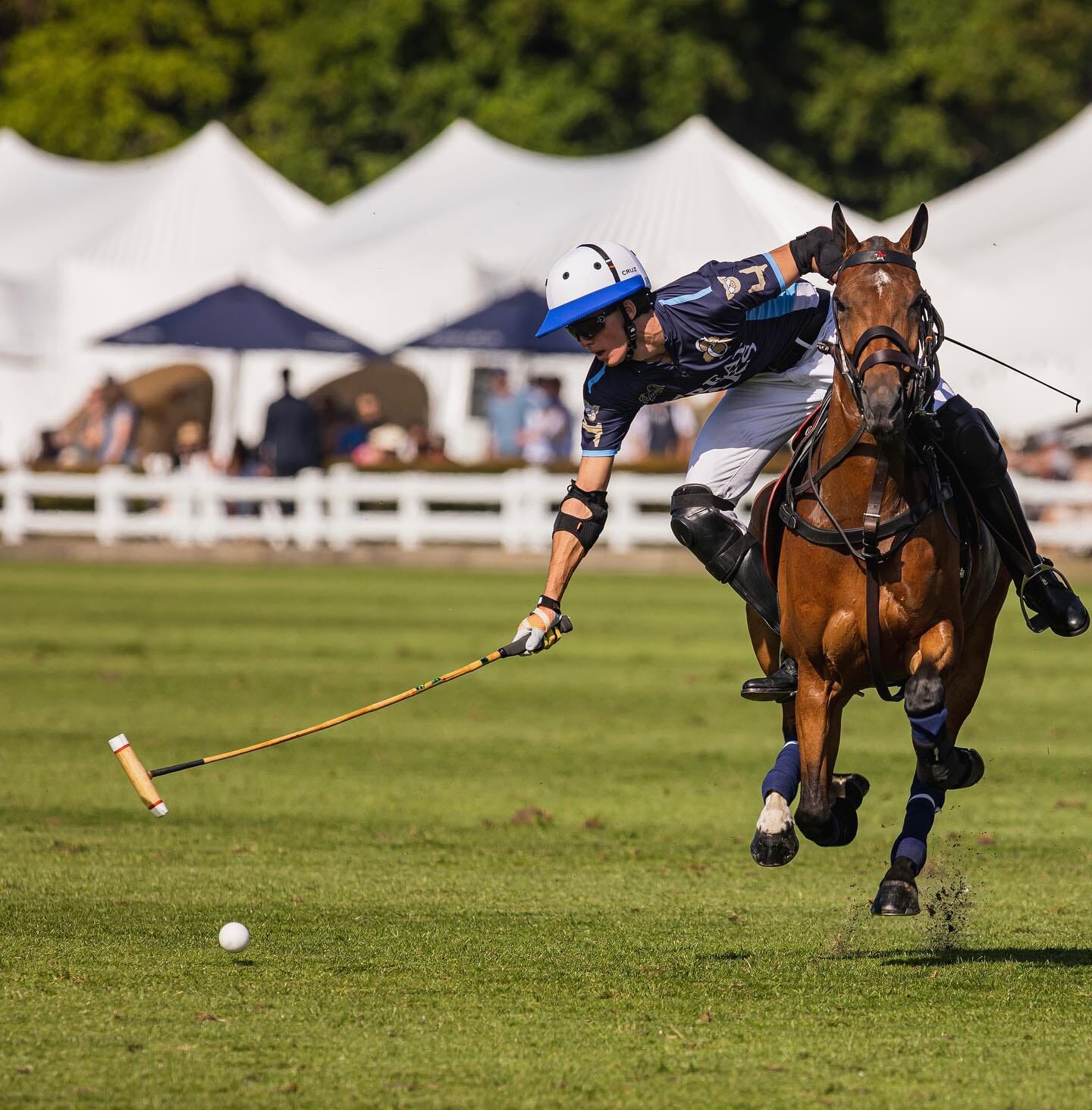 Polo.jpg?w=1007&h=1024&scale