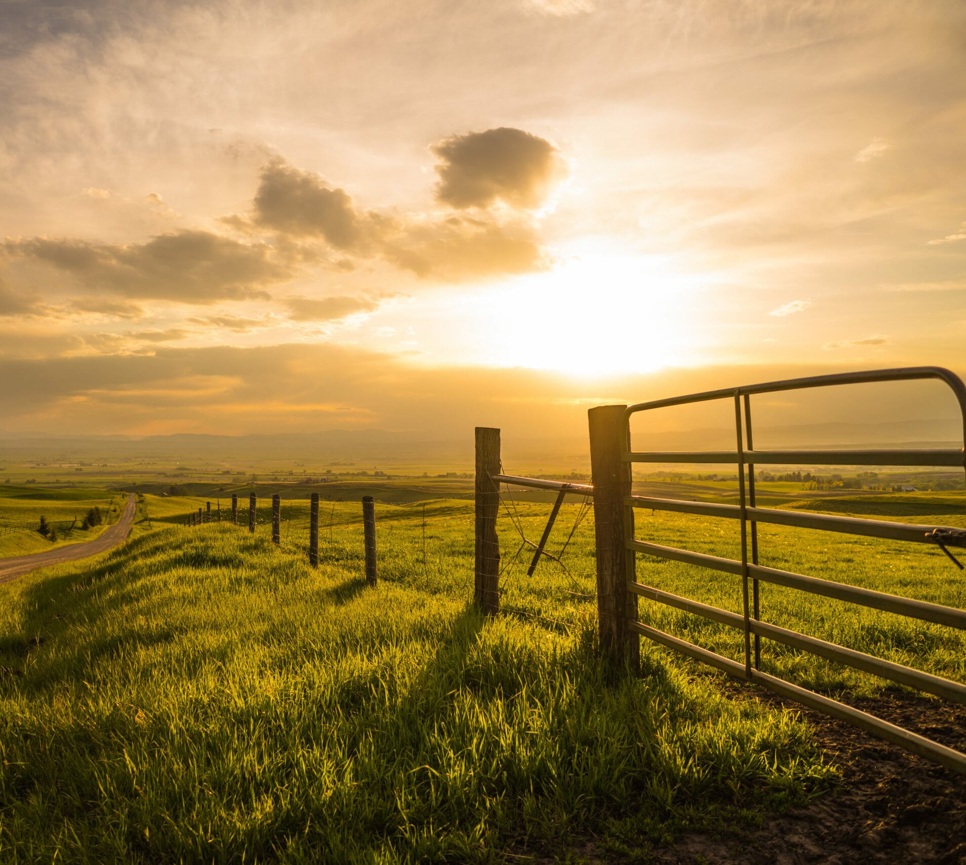 shutterstock_750466456-scaled-e1692134244729.jpg?w=1024&h=917&scale