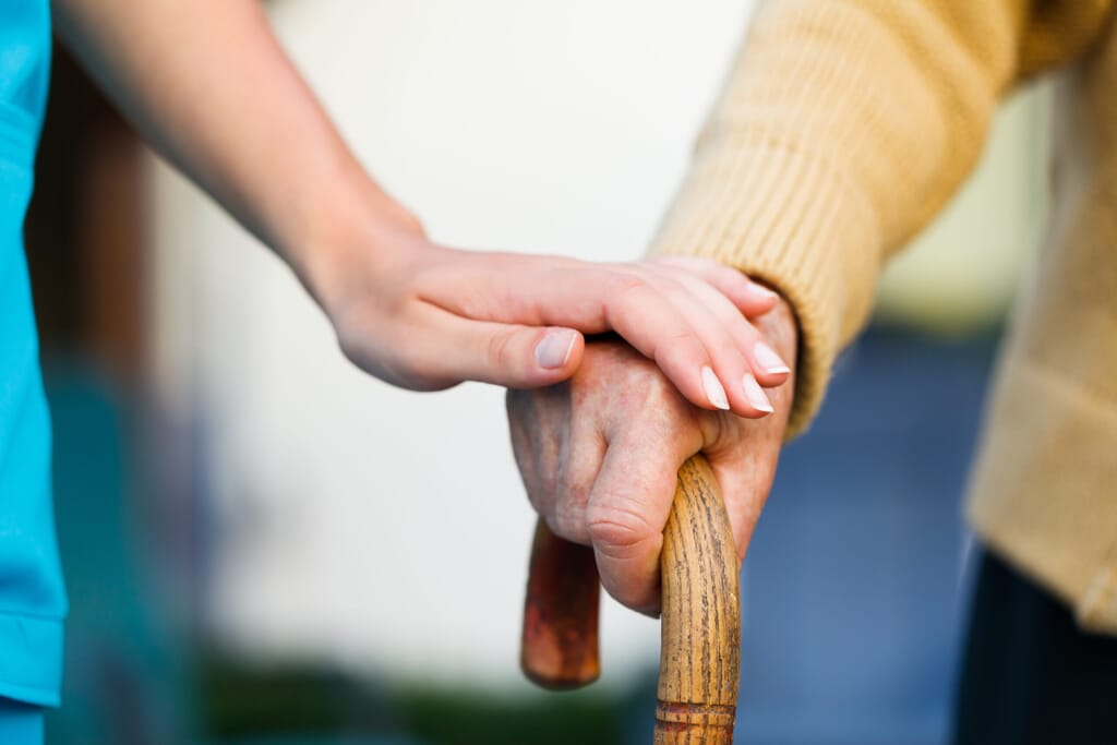 walking-stick-scaled.jpg?w=1024&h=683&scale