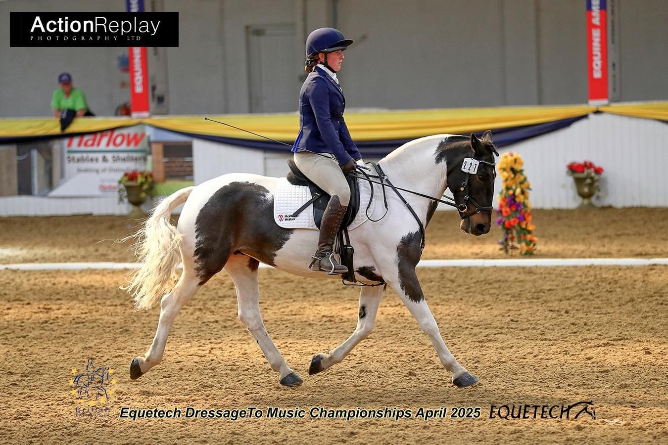 Horse2.jpg?w=1024&h=683&scale